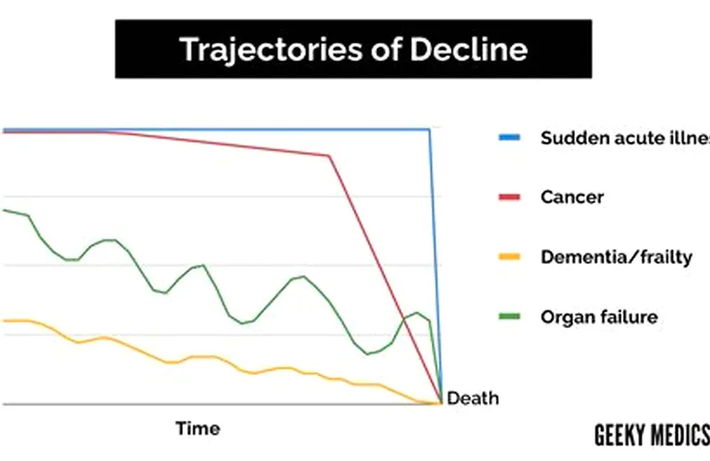 Editorial chart showing DHEA-S decline across decades