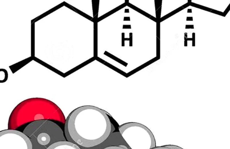 DHEA steroid molecule structural diagram